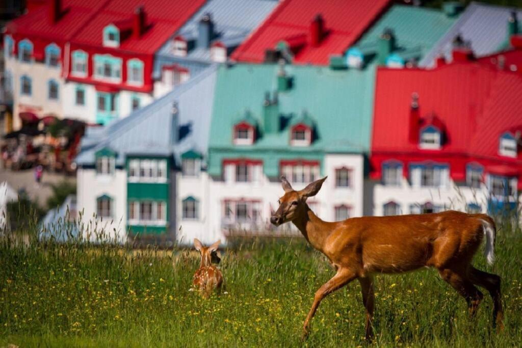 Deluxe Suite-Sur-Lac Superieur - Tremblant Versant Nord Esterno foto